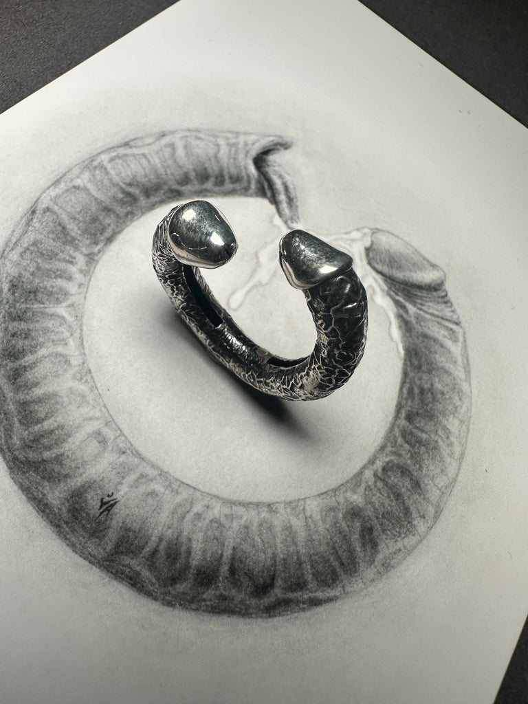 Penis Ring